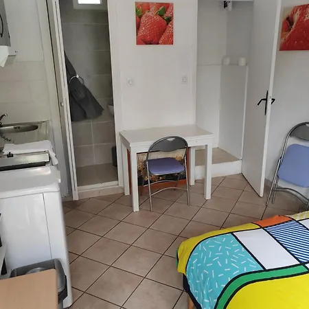 Grand Independant, 4 Personnes Et Plus, Piscine Et Jardin Direct Gare Aeroport Toulouse